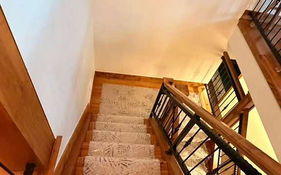 Staircase with carpet runner and iron railing cleaned