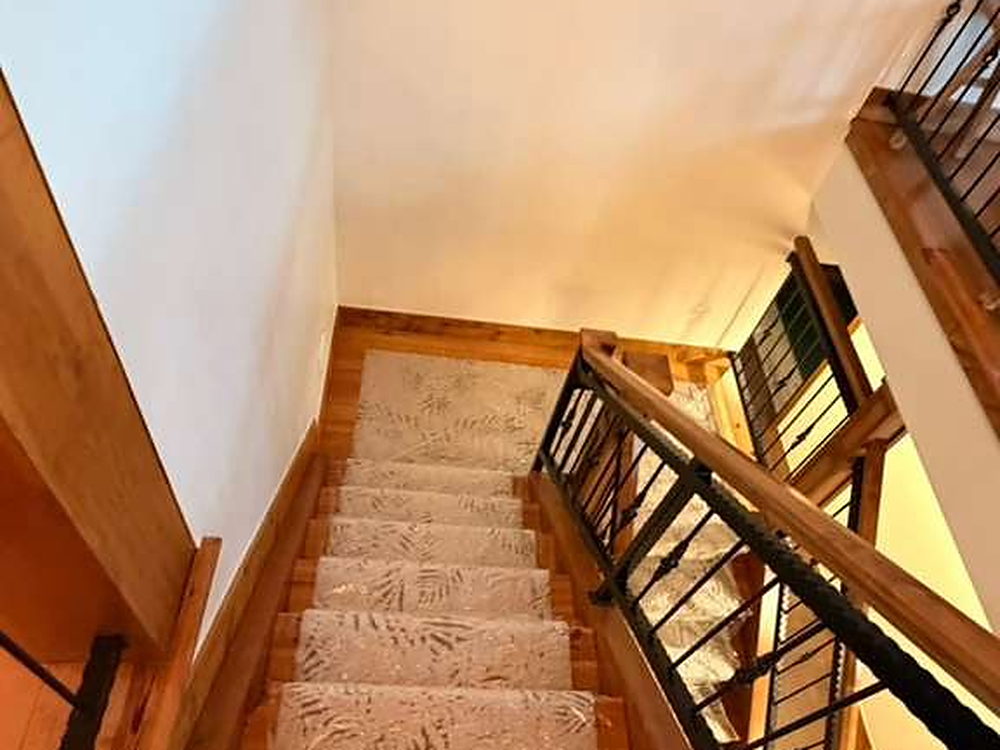 Staircase with carpet runner and iron railing cleaned